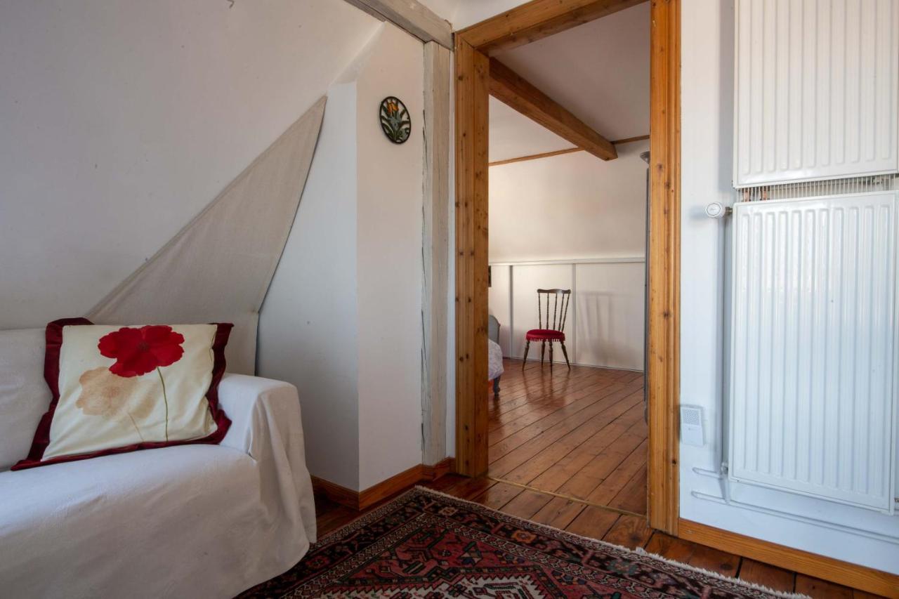 Au-Dessus Du Jardin Appartement Climatise Eckbolsheim Екстер'єр фото