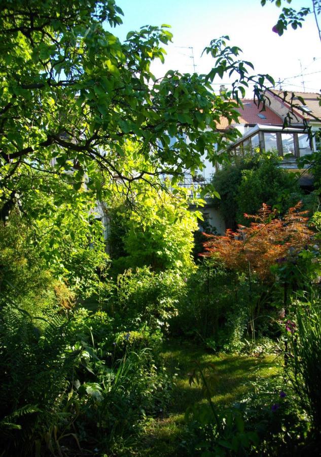 Au-Dessus Du Jardin Appartement Climatise Eckbolsheim Екстер'єр фото