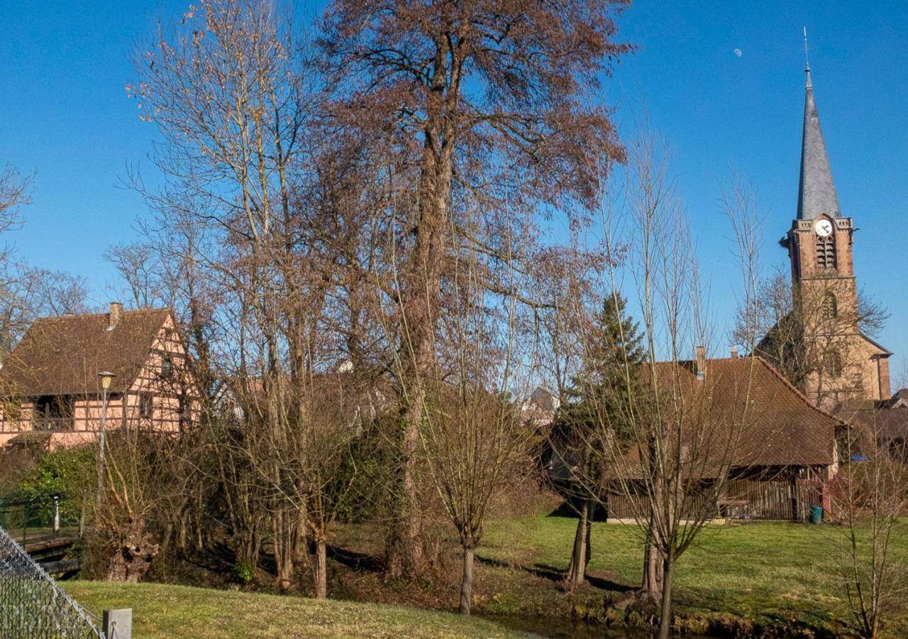 Au-Dessus Du Jardin Appartement Climatise Eckbolsheim Екстер'єр фото